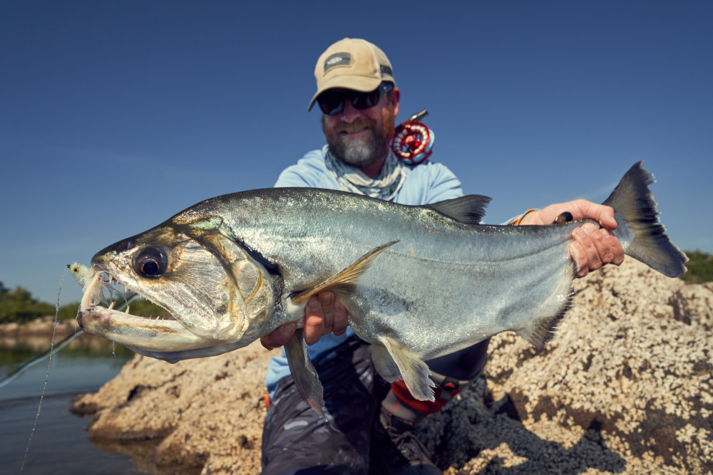 Payara Fly Fishing: The Vampire Fish of the Amazon
