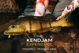 The Kendjam Experience: Peacock Bass (Episode 2)