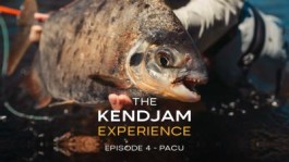 The Kendjam Experience: Pacu (Episode 4)
