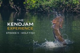 The Kendjam Experience: Wolf Fish (Episode 5)