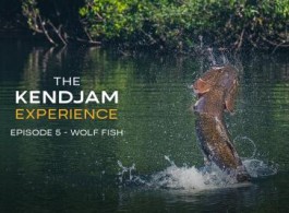 The Kendjam Experience: Wolf Fish (Episode 5)