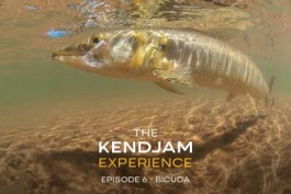 The Kendjam Experience: Bicuda (Episode 6)