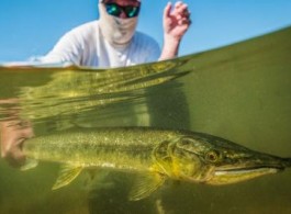 Why Untamed Angling destinations are the best choice for your jungle fly fishingtrips?