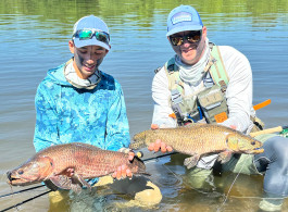 Relatório de Pesca da Temporada de 2025 em Kendjam | Sonhos com Mosca Seca e Explosões de Poppers
