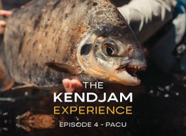 The Kendjam Experience: Pacu