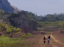 Fly Fishing Deep in the Amazon Jungle – Peacock Bass, Wolffish and Kayapo Traditions