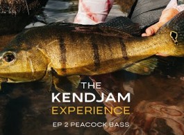 The Kendjam Experience: Peacock Bass
