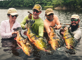 Uma Jornada Amazônica: O Combo Rio Marié e Kendjam