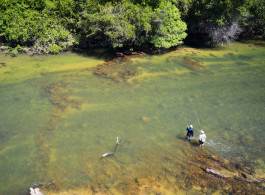 Kendjam e o Iriri: Pesca com Mosca em um Gigante Protegido