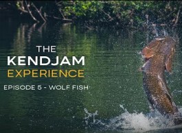 The Kendjam Experience Wolf Fish