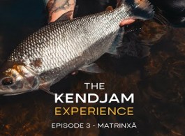 The Kendjam Experience: Matrinxã
