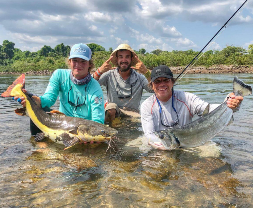 Species of Fish: Peacock Bass, Payara, Wolfish, Bicuda, 3 different species of Pacu, Matrincha, Surubi, Red tail Catfish, Jungle Drums (corvina), and more.